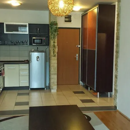 River Loft 304-305 Διαμέρισμα Βουδαπέστη